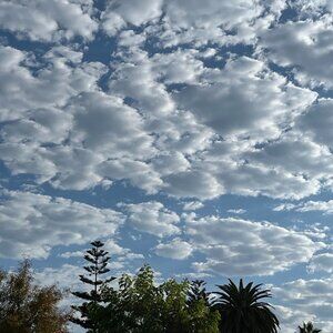 Meet your Posher, M&A